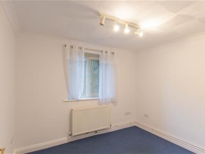 Picture 13